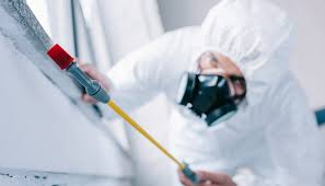 Professional Pest Control in Decordova, TX